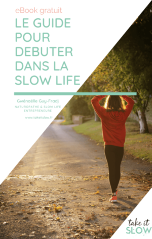 couverture guide slow life
